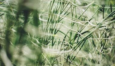 Како да направите амајлија за среќа со свои раце