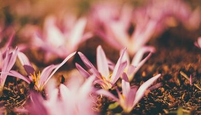 како да направите амајлија за среќа со свои раце